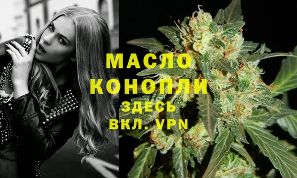 твердый Горняк
