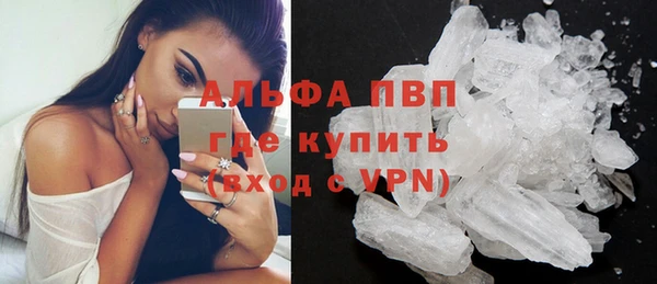 прущие грибы Горнозаводск