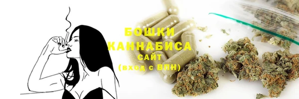 2c-b Горно-Алтайск