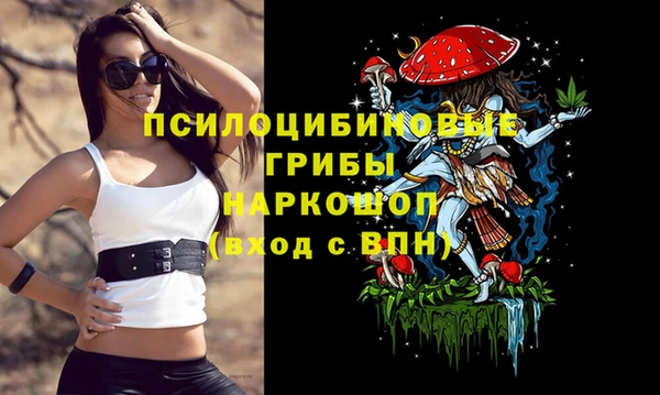 прущие грибы Горнозаводск