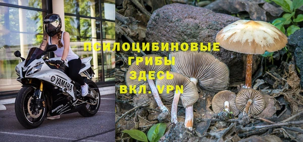 тгк Вязники