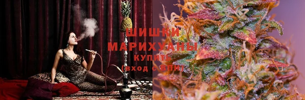 прущие грибы Горнозаводск