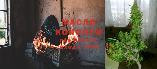 прущие грибы Горнозаводск