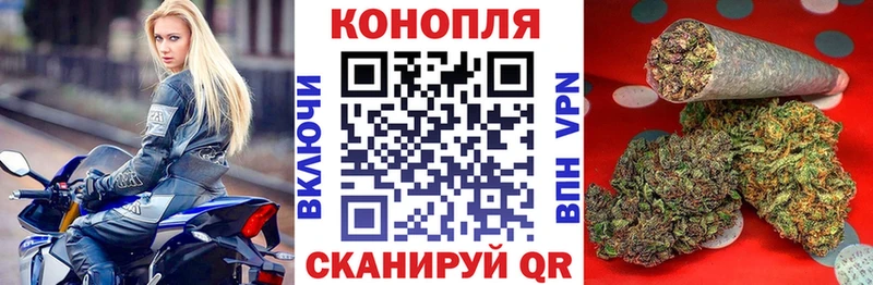 Каннабис конопля Лакинск